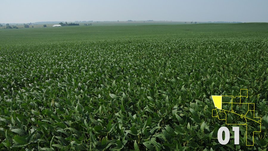 Land Auction - 3,379 Acres in 48 Tracts, 2,900 Acres Tillable, Large Contiguous Tracts - Investment Potential